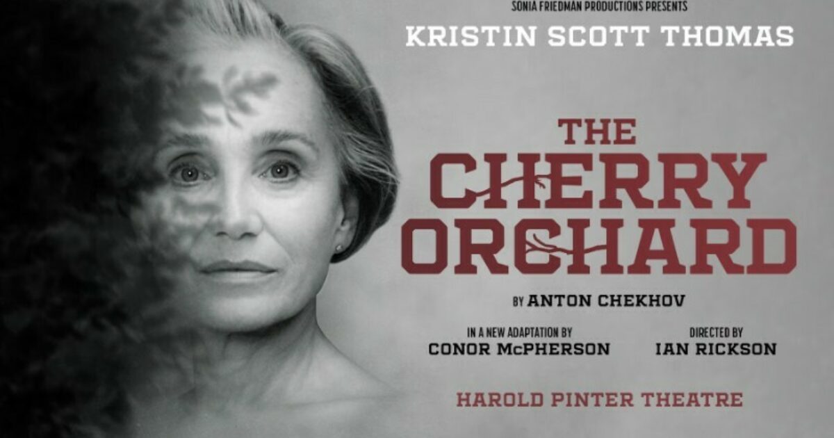 The Cherry Orchid