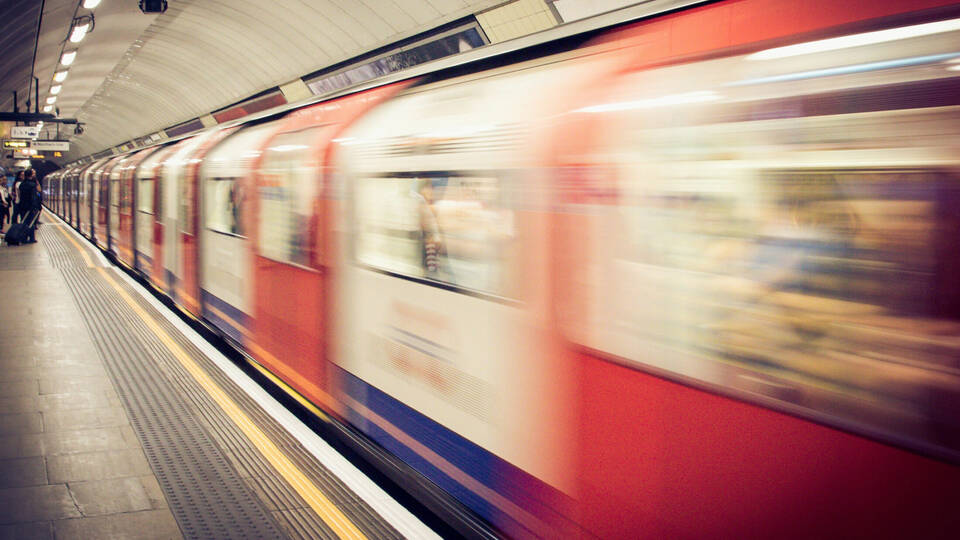 Jungle Cave Location Discover Leicester Square