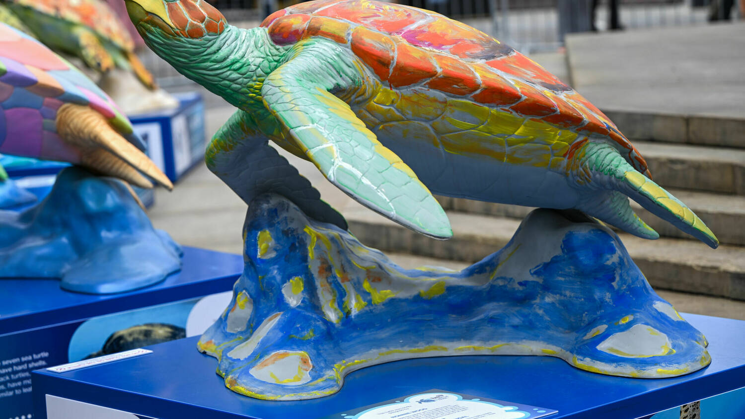The Tusk Turtle Trail Launch 022